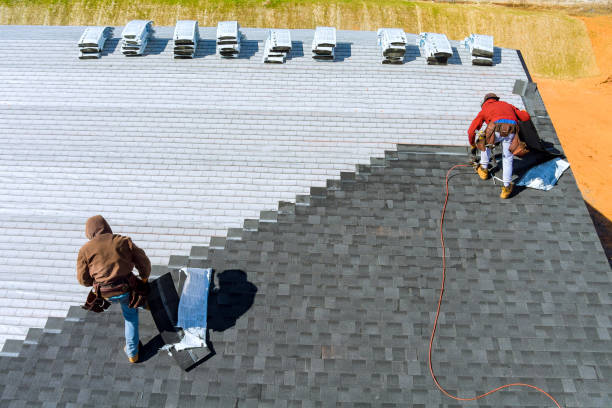 Best Roof Waterproofing Services  in Reiffton, PA